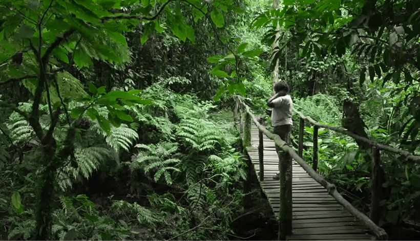 Video Still