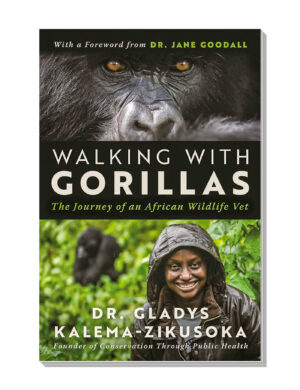 Walking with gorillas